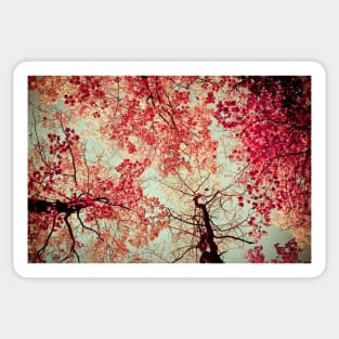 Autumn Reds Sticker